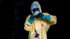 «Омікрон» на наші голови