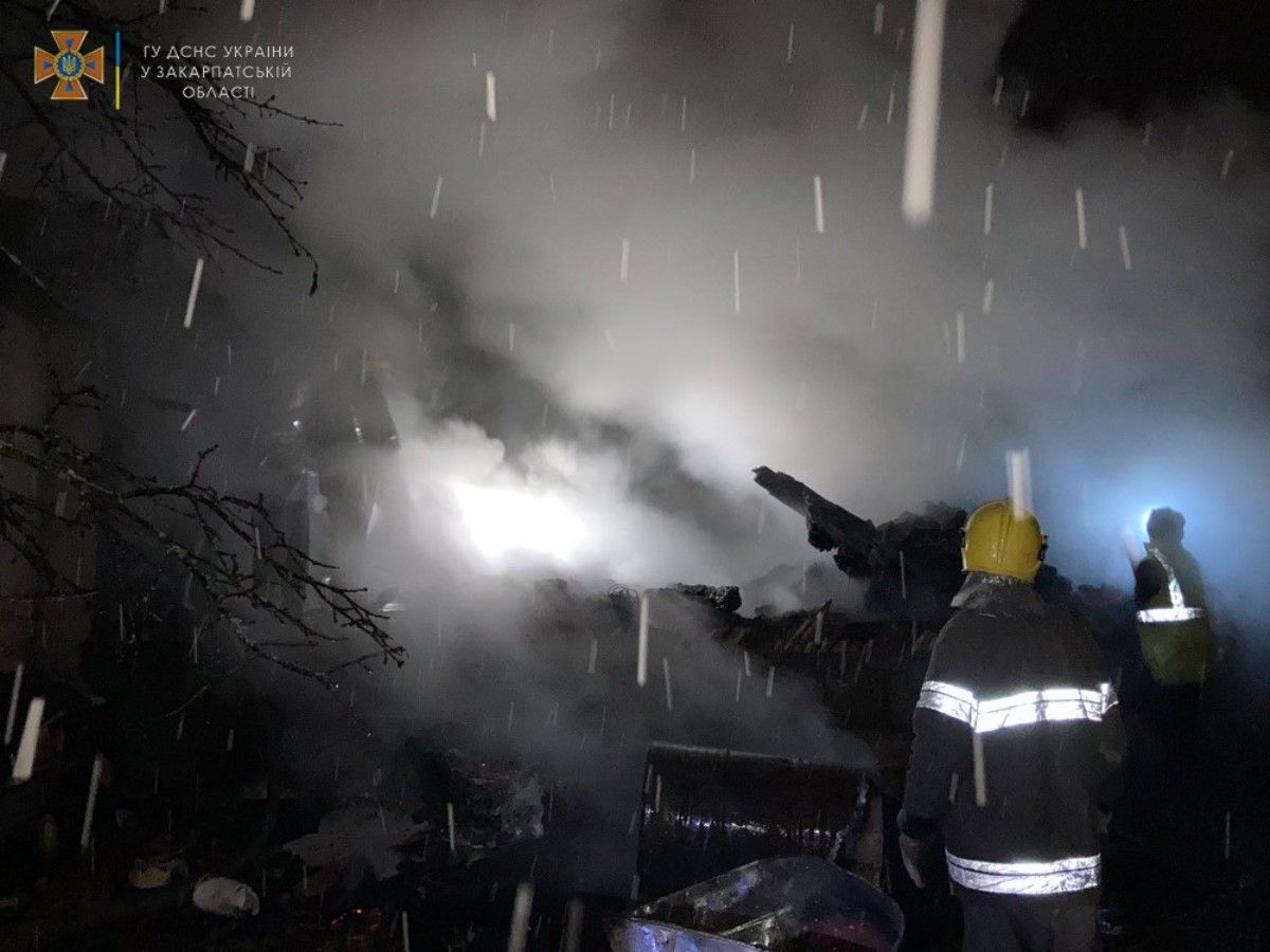 Під час пожежі у хліві на Закарпатті згоріли 20 овець 