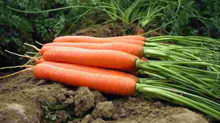 Як правильно зберігати моркву: практичні поради
