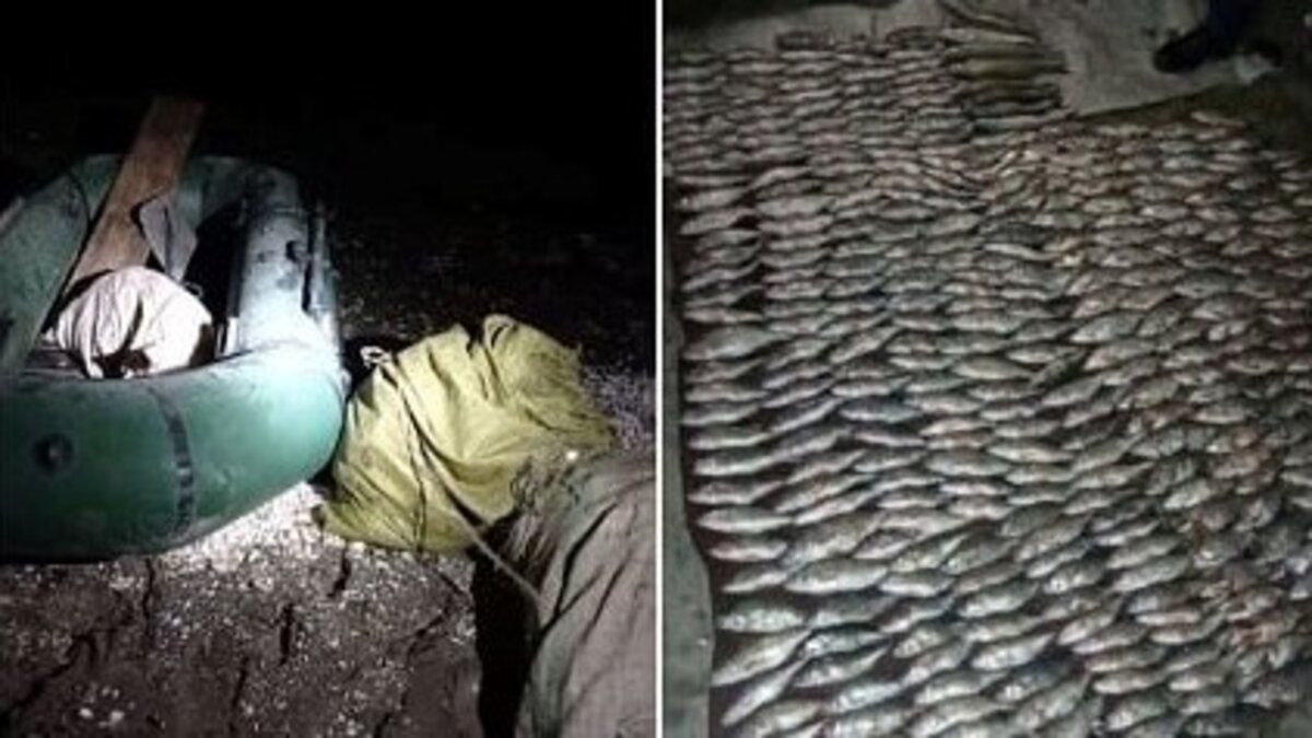 На Дністровському водосховищі рибалка незаконно наловив риби на 1 млн грн 