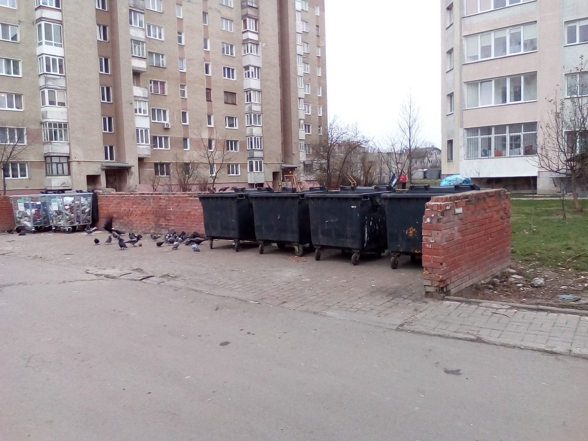 Франківський перевізник сміття підвищив вартість послуг на 40%