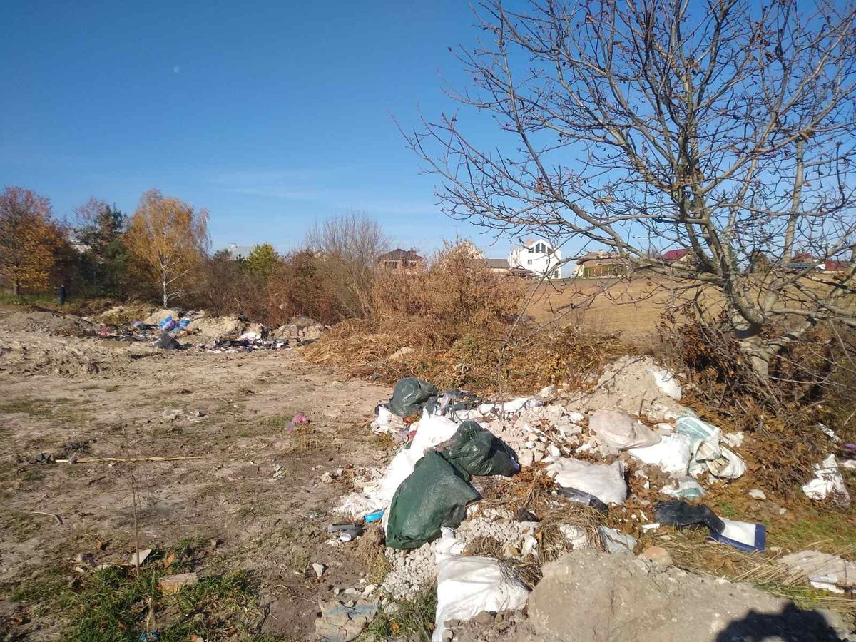 Сільраду на Рівненщині оштрафували на 240 тис. грн за сміттєзвалище біля дороги