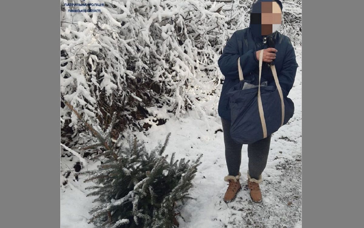 Поліція затримала 60-річну львів'янку за зрубану у парку ялинку 