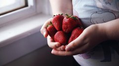 Без пластику