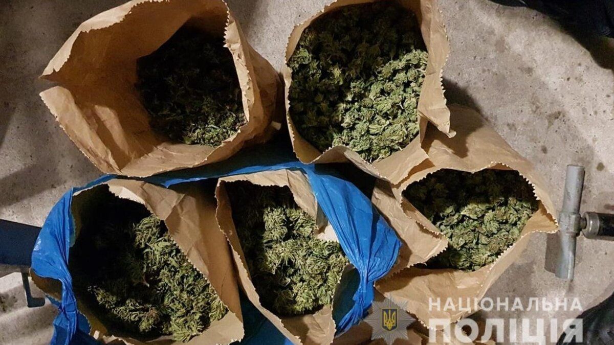 У трьох буковинців вилучили понад 6 кг коноплі для продажу 