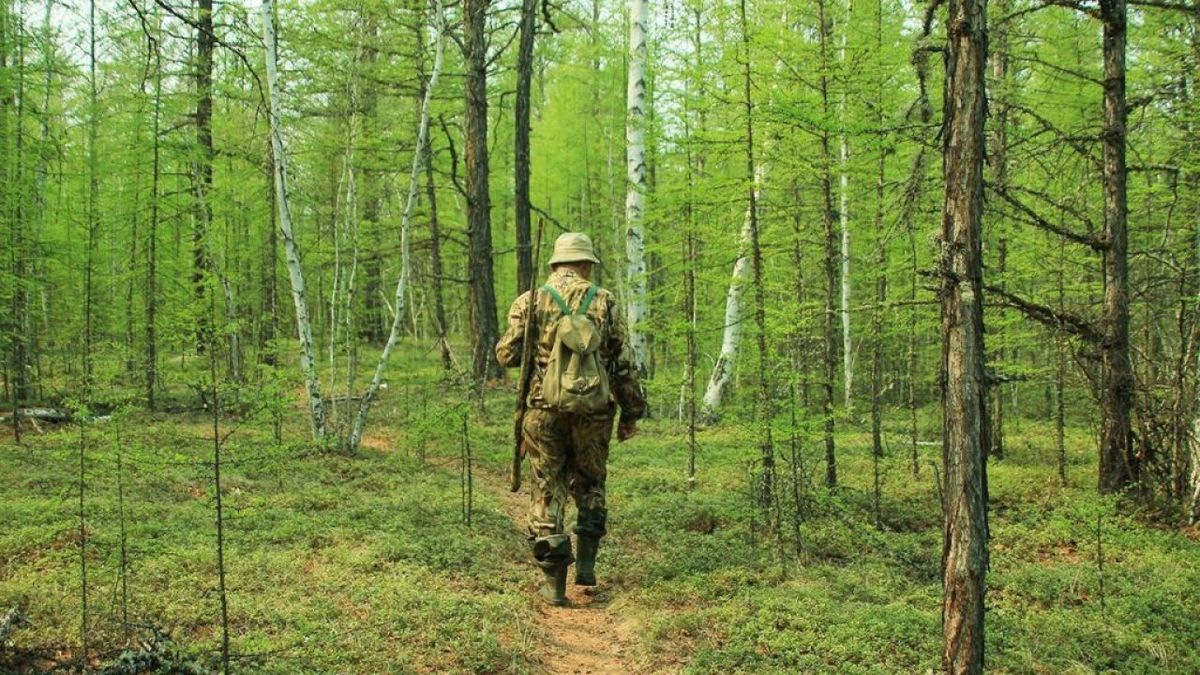 Буковинського лісівника оштрафували на 34 тис. грн за неналежну охорону лісу