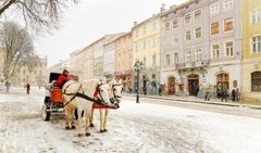 Головні новини Львова за 10 грудня