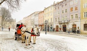 Головні новини Львова за 10 грудня
