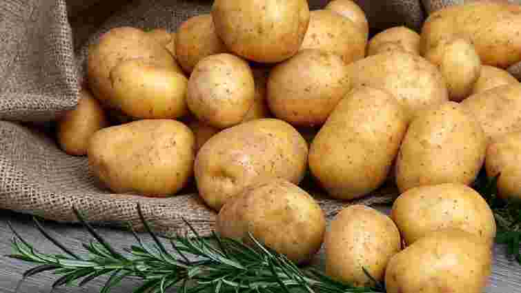 На балконі чи в холодильнику: як зберігати картоплю у квартирі
