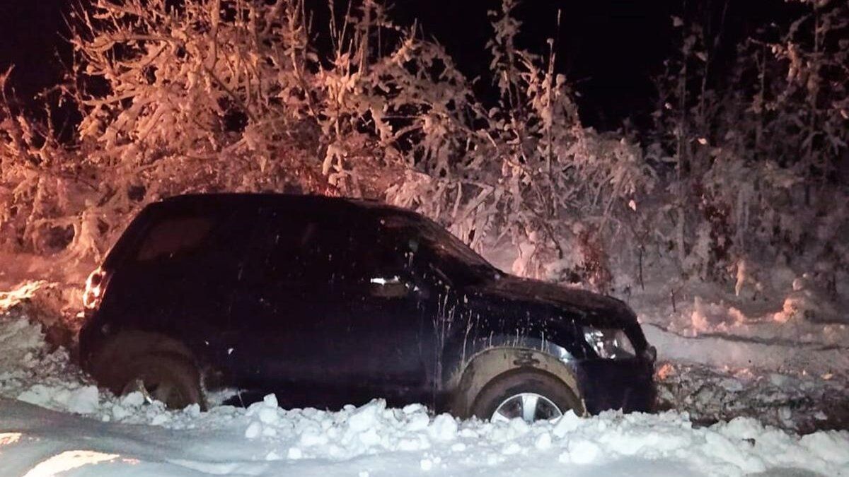 Поліція Буковини затримала трьох юнаків за викрадення кросовера
