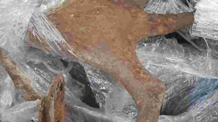 Закарпатські митники вилучили на кордоні скам'янілі оленячі роги