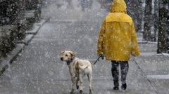 Синоптики прогнозують дощі напередодні вихідних