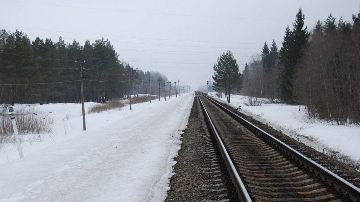 Троє буковинців виплатять «Укрзалізниці» компенсацію за крадіжку рейок