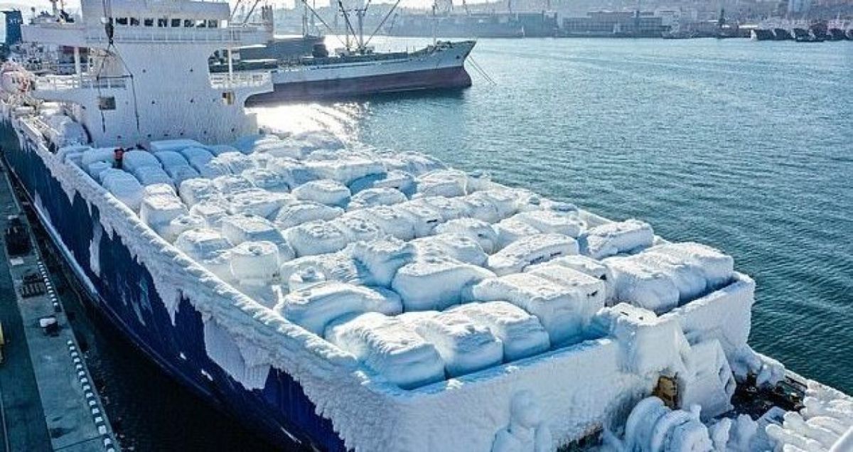 Після шторму судно «Сонце Ріо» привезло у порт крижані авто