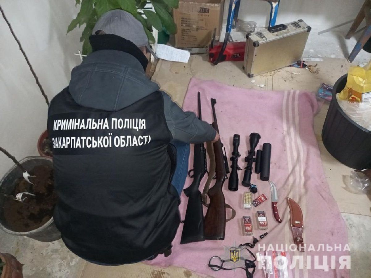 На Закарпатті злодій давав снодійне собакам і обкрадав будинки 