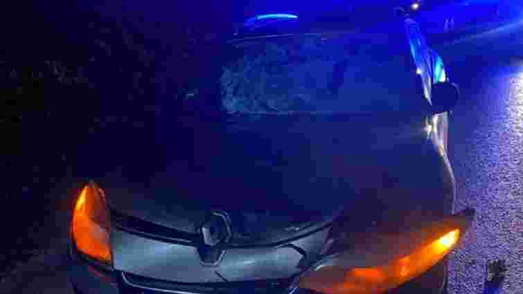 Водій Renault збив на смерть 55-річного чоловіка поблизу Кременця
