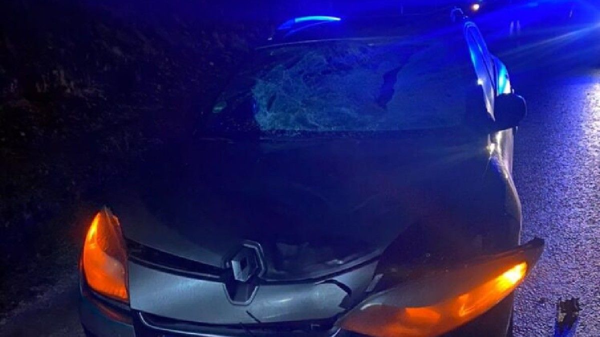 Водій Renault збив на смерть 55-річного чоловіка поблизу Кременця
