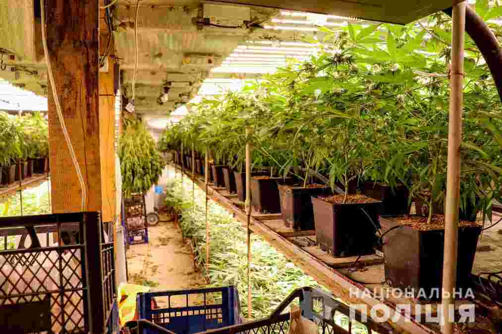 Чоловік облаштував дві підземні кімнати із таємним входом через хлів Чоловік облаштував дві підземні кімнати із таємним входом через хлів