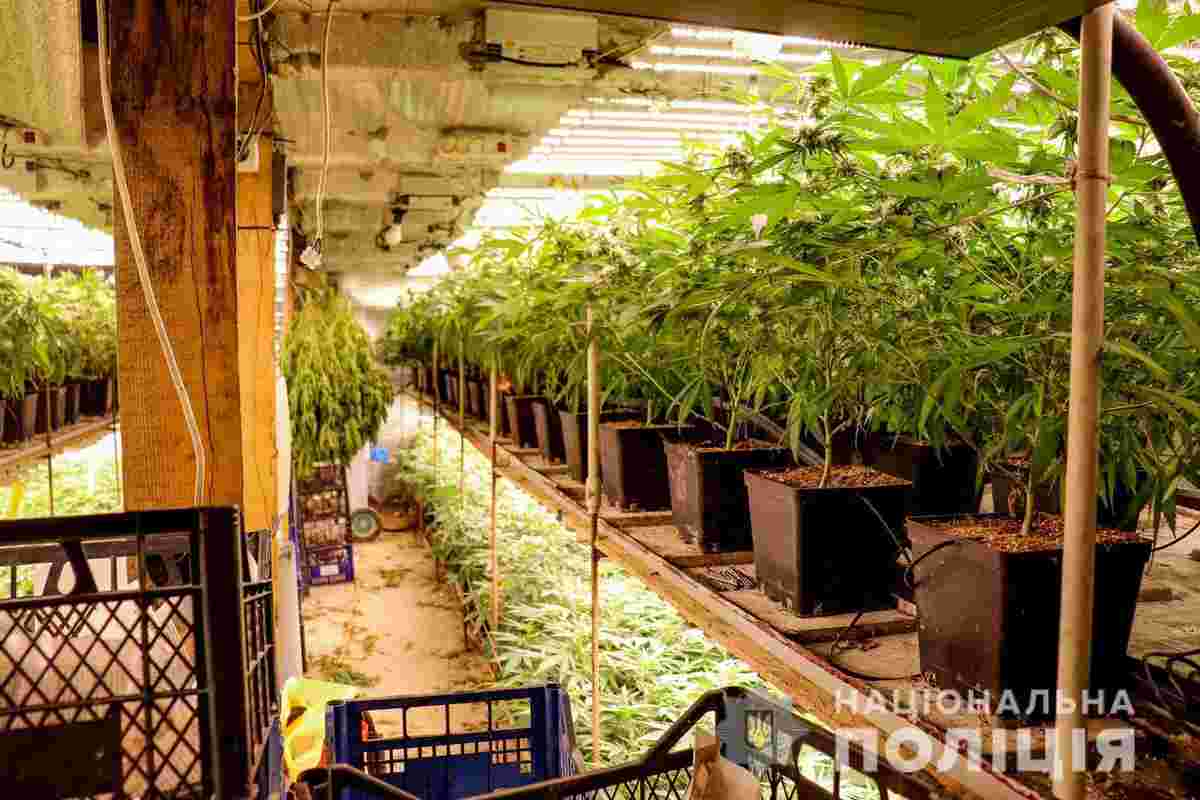 Чоловік облаштував дві підземні кімнати із таємним входом через хлів