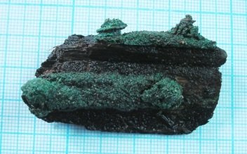 Частина дерев'яної скриньки, оббита бронзовими пластинками