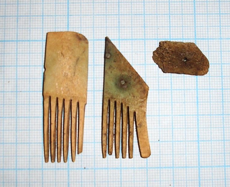 Роговий гребінь