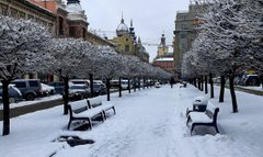 Головні новини Львова за 11 січня