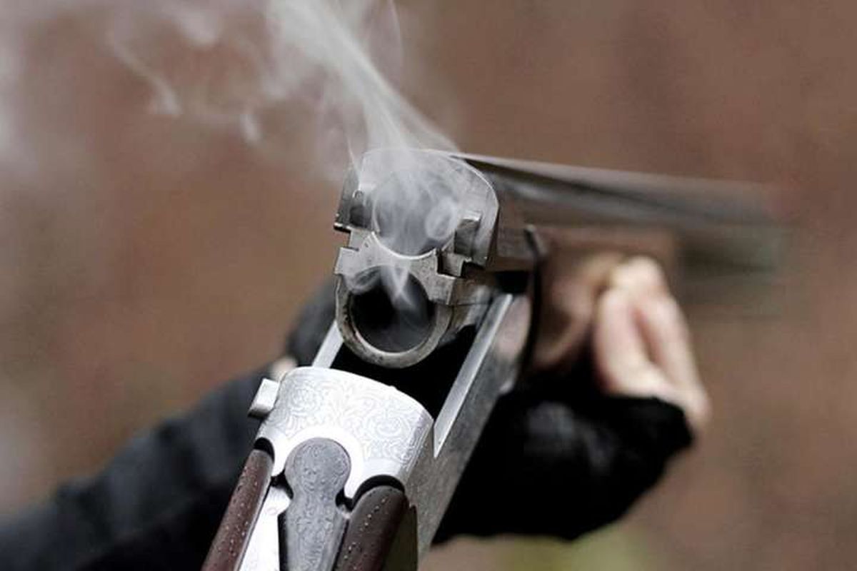 Рівненський лісник відсудив 30 тис. грн за відстрелений селянином палець