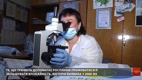 Львівська науковиця винайшла добриво на основі чорного трюфеля