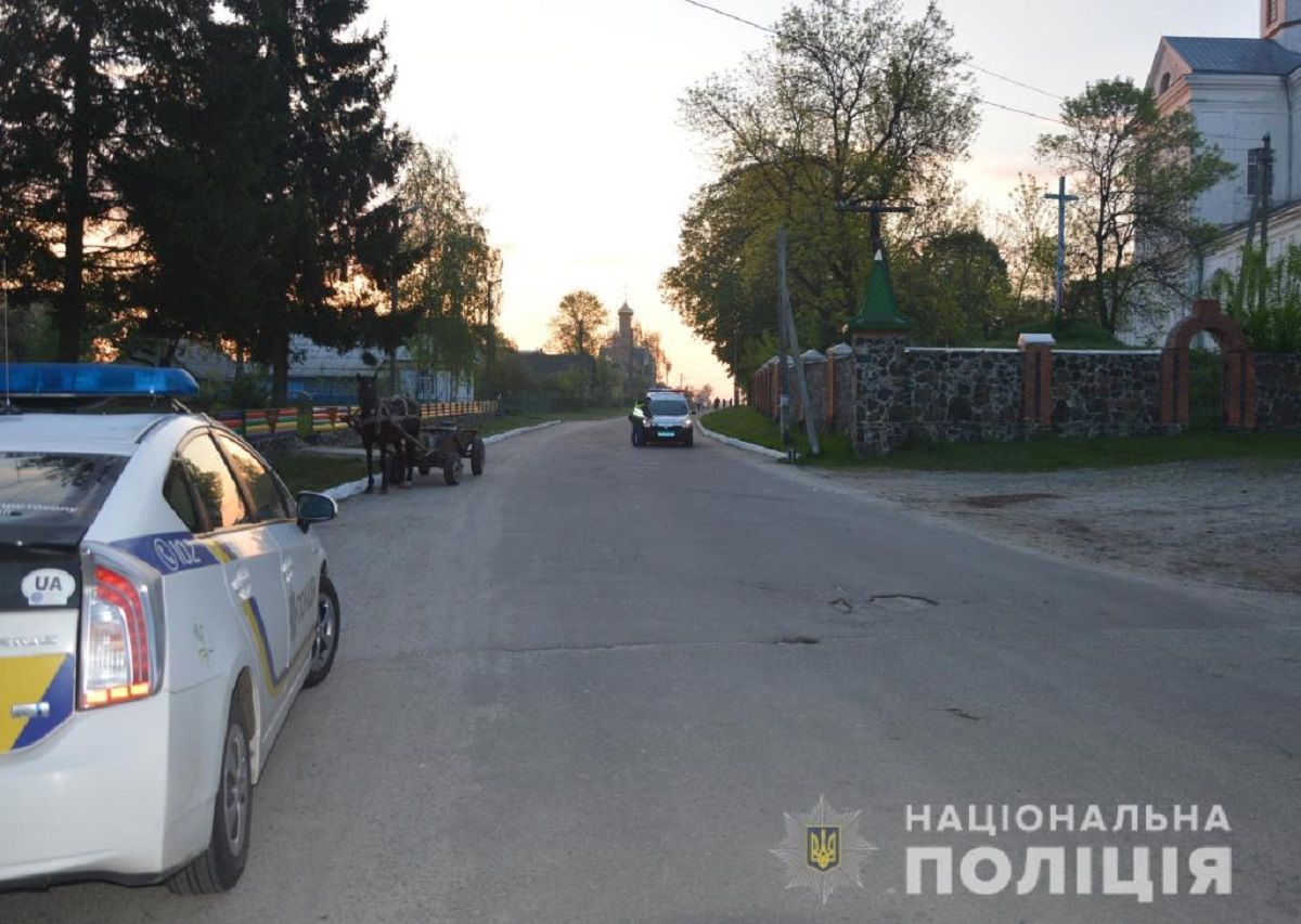 П'яний водій отримав 6 років за втечу після смертельної ДТП на Волині