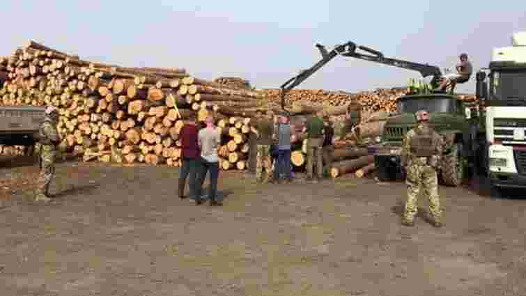 Працівника лісопереробного підприємства на Волині судитимуть за махінації на 2,6 млн грн
