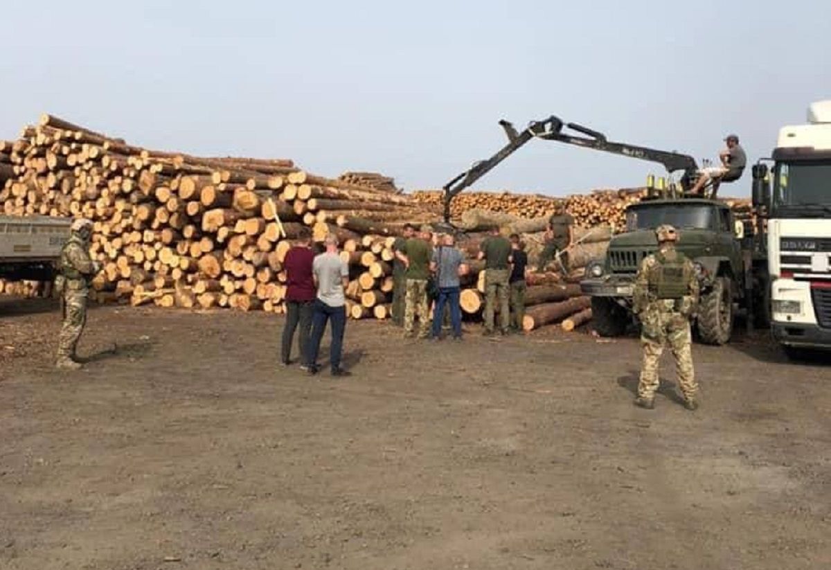 Працівника лісопереробного підприємства на Волині судитимуть за махінації на 2,6 млн грн