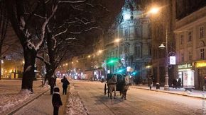 Головні новини Львова за 24 січня