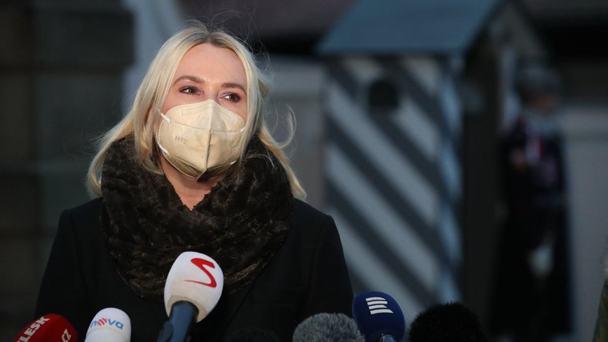 Чехія розгляне відправку військових до України у разі відповідного запиту
