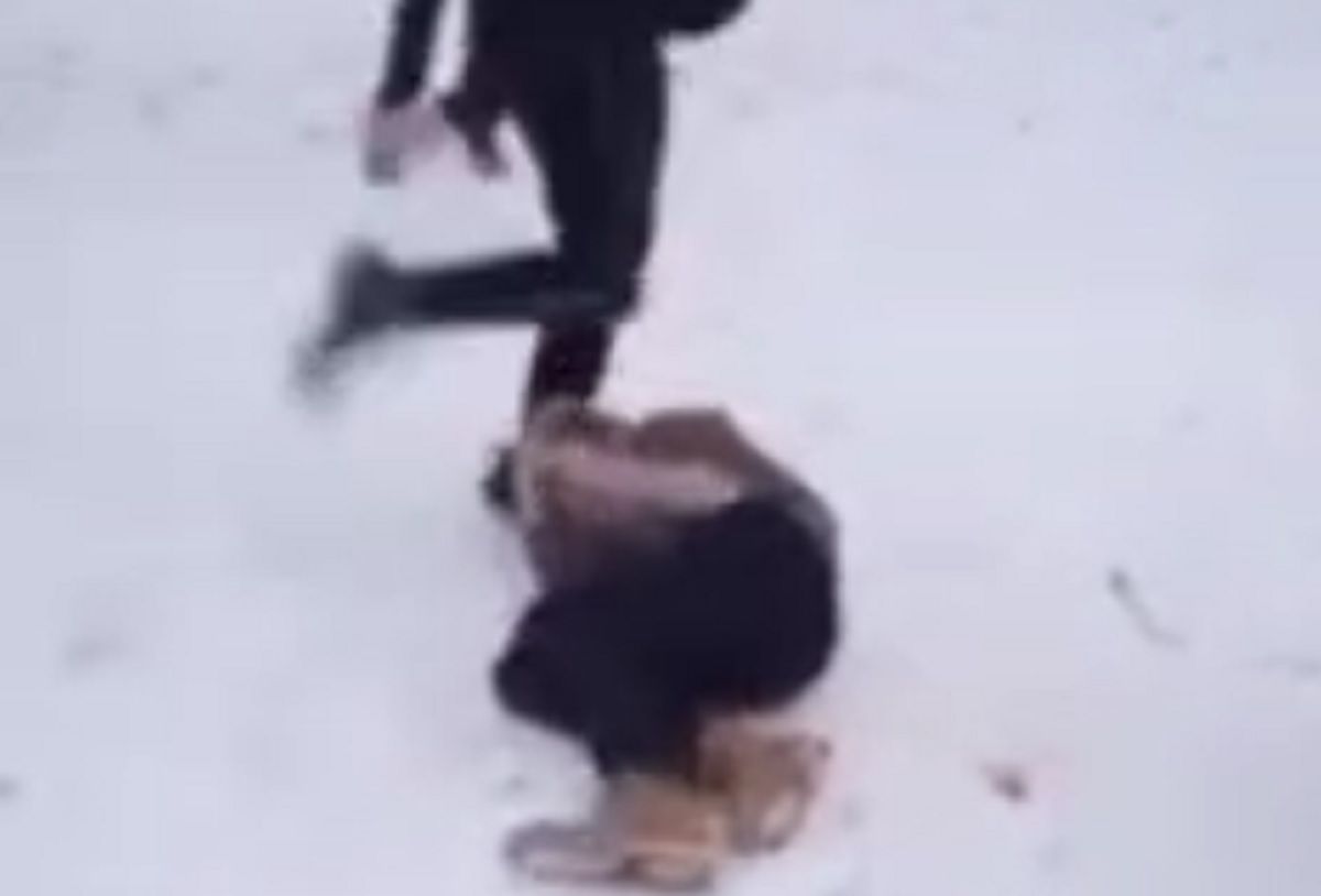 Луцька поліція розслідує бійку між двома школярами