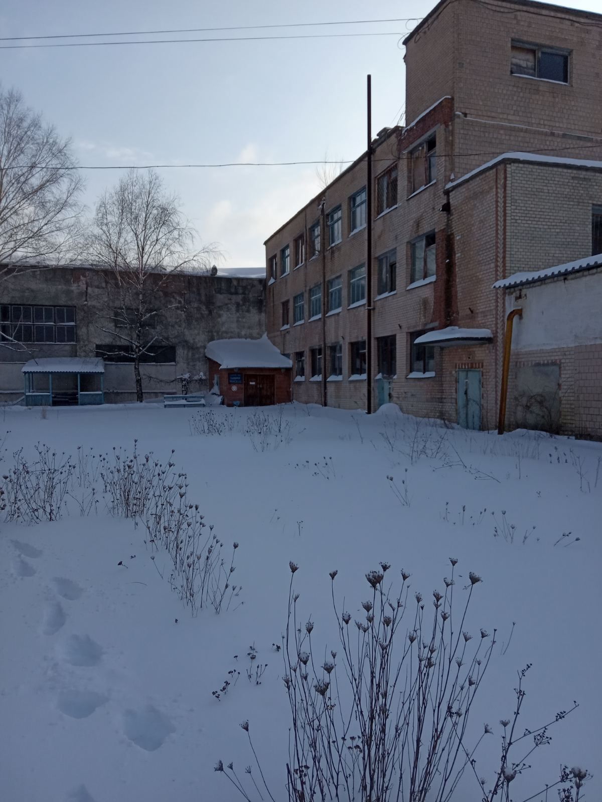 Завод кераміки «Будфарфор» у Славуті виставили на аукціон за 208 млн грн