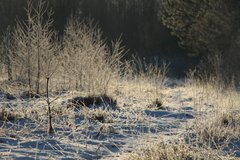 Земля обітована