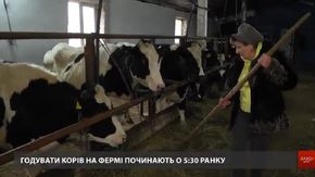 Комунальна ферма біля Дрогобича виготовлятиме молоко на продаж