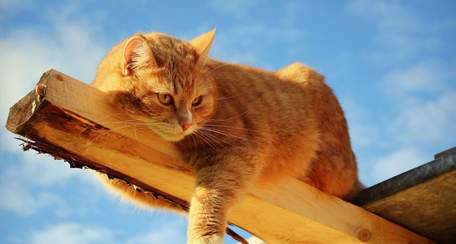 Синоптики прогнозують потепління до 12°