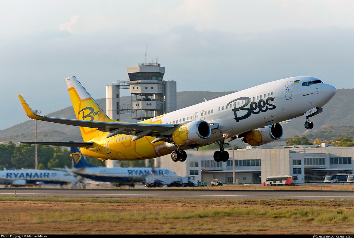 Лоукост-авіакомпанія Bees Airline вивезе всі літаки з України