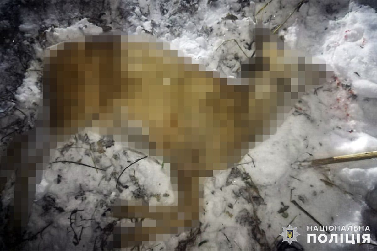 Браконьєр заплатив 18 тис. грн за застрелених козуль у нацпарку на Хмельниччині