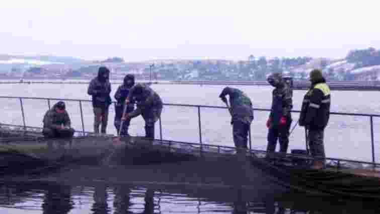 Затримані з гранатометами рекетири причетні до захоплення Бурштинського рибгоспу

