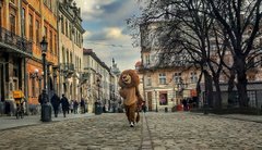 Головні новини Львова за 20 лютого