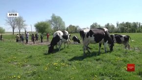Суд скасував арешт на 18 га землі біля Жовкви, де було пасовище