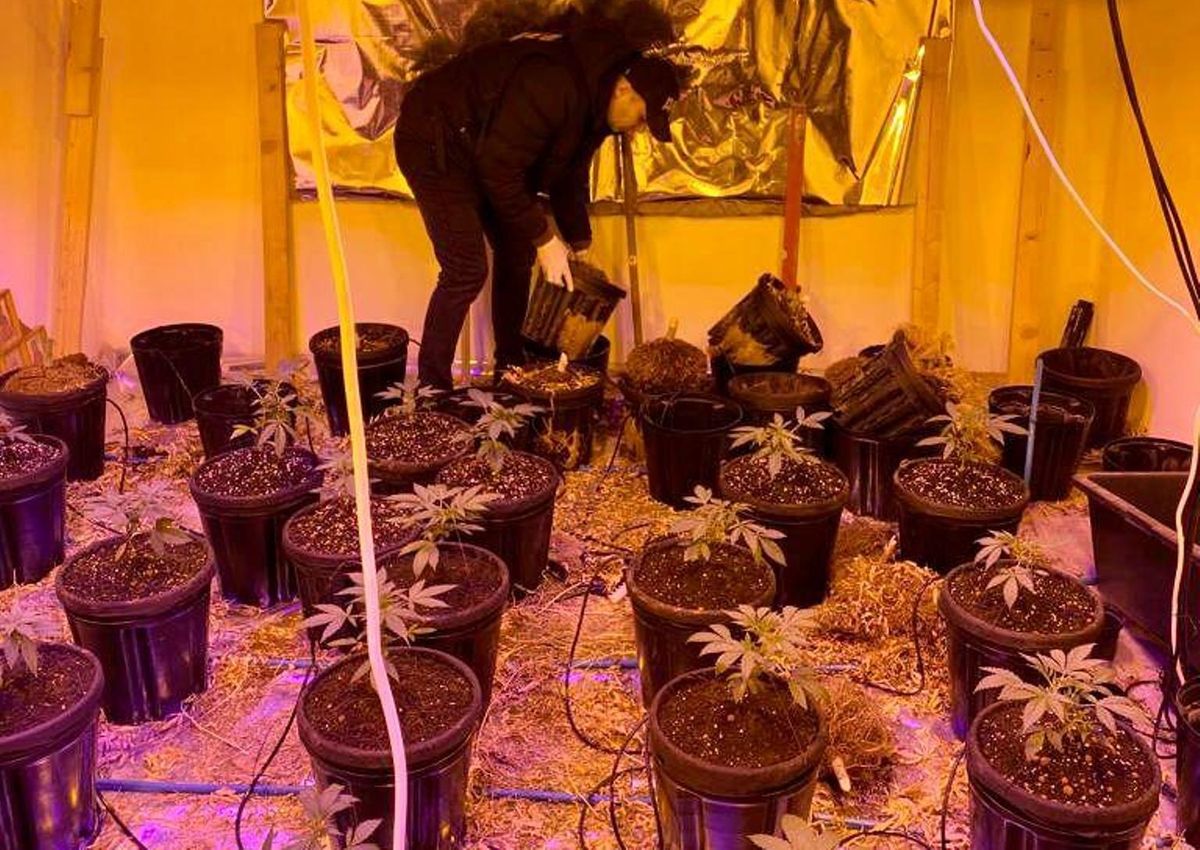 Закарпатець перетворив будинок на лабораторію з вирощування конопель