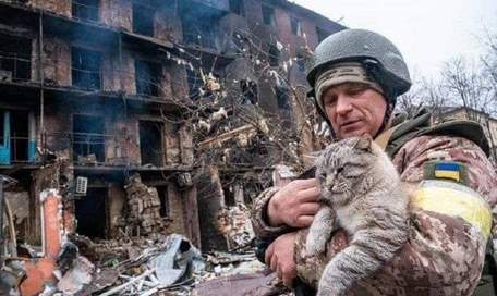 Підсумки десятого дня війни