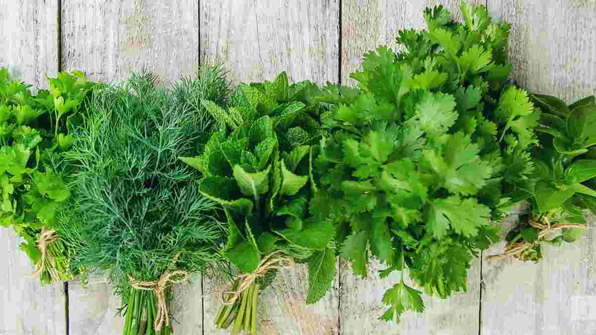 Поради та рекомендації