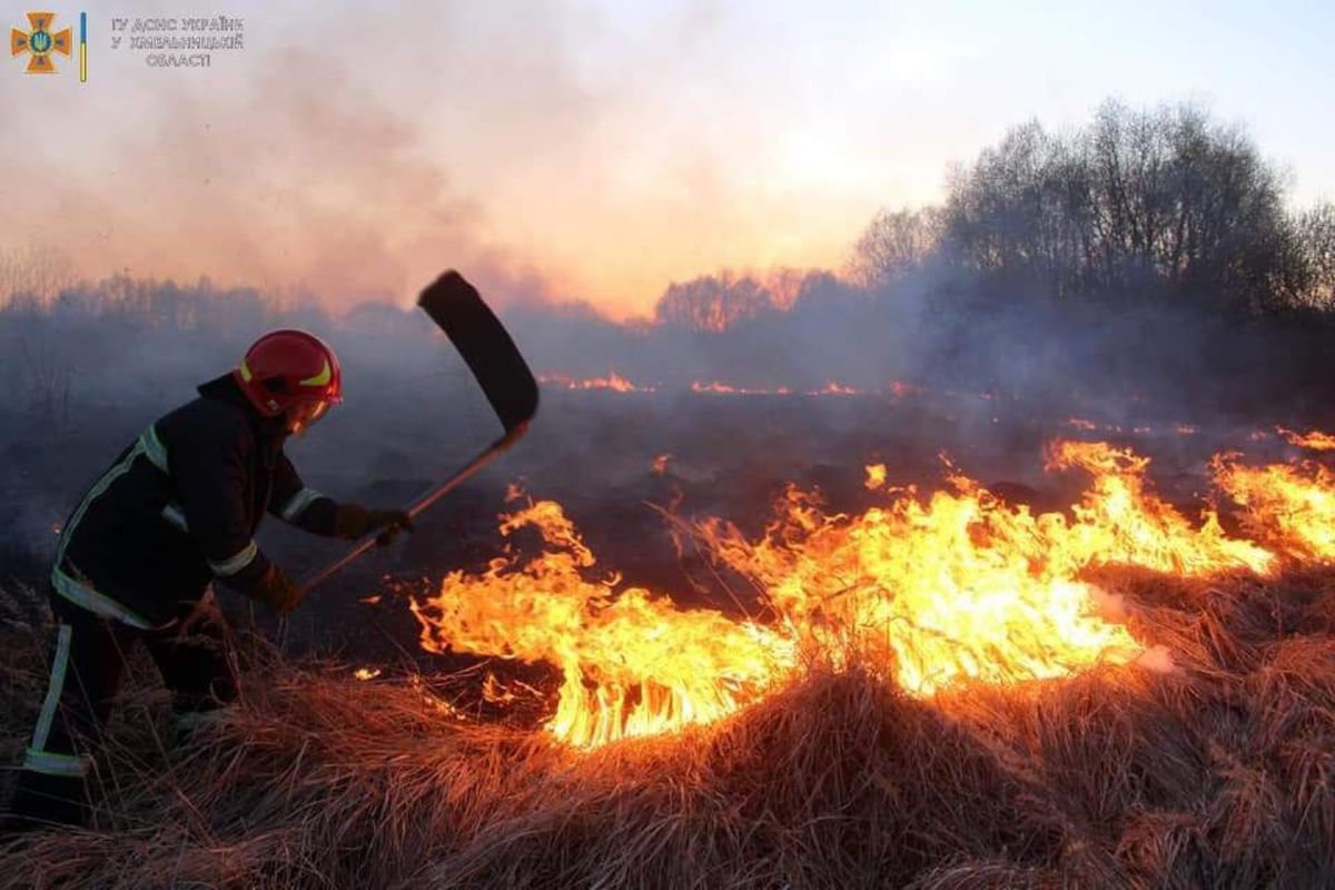 Внаслідок підпалу трави на Хмельниччині згоріло 20 га поля з кукурудзою