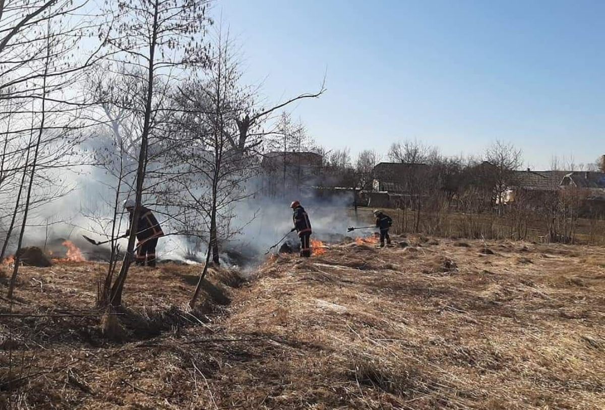 Під час спалювання сухої трави на Прикарпатті загинула літня жінка