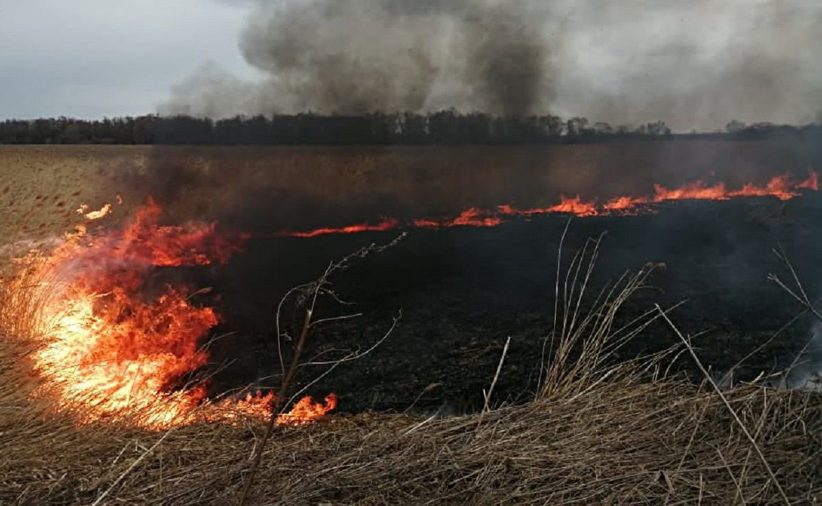 Двоє мешканців Львівщини отримали важкі опіки під час спалювання трави