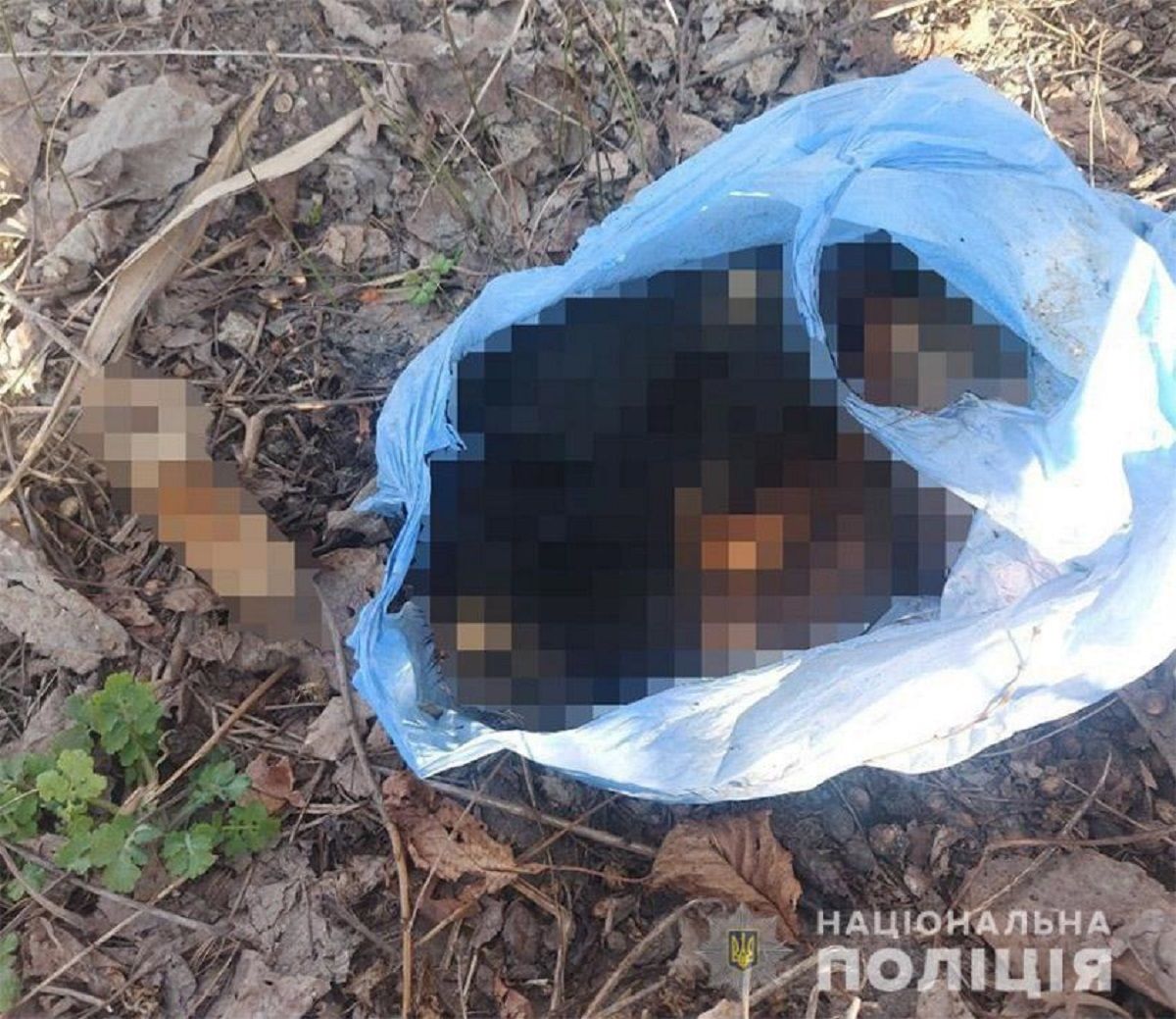 Поліція розпочала розслідування жорстокого вбивства собаки у Хмельницькому